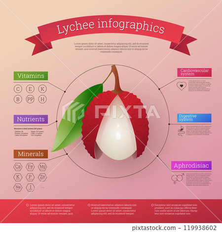 Lychee fruit infographics calories, vitamins and minerals. Healthy facts value nutritional information. Fresh ripe exotic tropical fruit benefits. Healthy diet vector illustration 119938602
