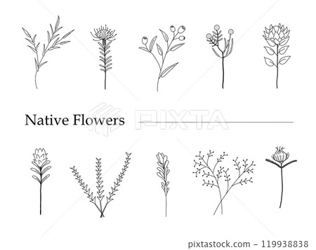 Simple plant line drawing illustration 119938838
