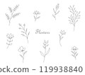 Simple line drawing of flowers 119938840
