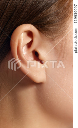 Extremely close-up of female ear without piercing, jewelry. Healthy, smooth skin. Extremely close-up of female ear without piercing, jewelry. Healthy, smooth skin. 119939097