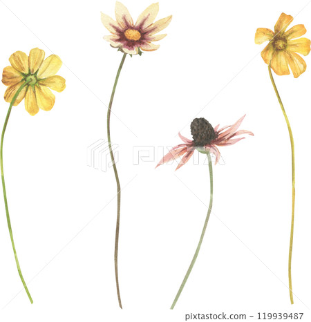 flowers and herbs painted in watercolor 119939487