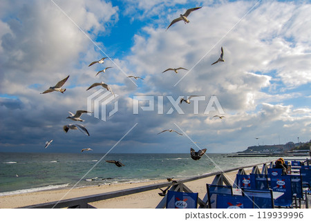 A flock of Black Sea white seagulls soar above an open-air cafe by the sea. Autumn in Odessa, cloudy sky and lots of seagulls. 119939996