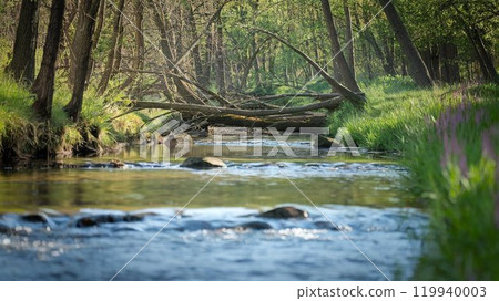 Calm stream Calm stream 119940003