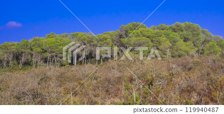 Peninsula de Llevant Natural Park, Spain 119940487