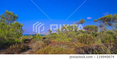 Peninsula de Llevant Natural Park, Spain 119940674
