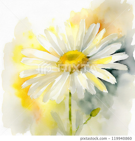 Chamomile Watercolor Painting 119940860