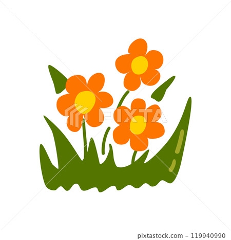 Vibrant orange flowers with green leaves on white background 119940990