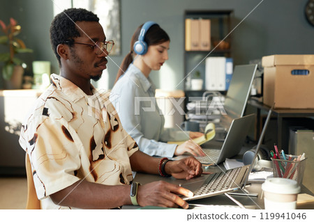 Side view portrait of two office workers using computers in row in office, focus on African American man wearing glasses in foreground, copy space 119941046