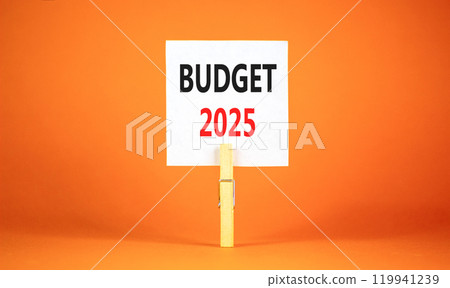 Planning budget 2025 new year symbol. Concept words Budget 2025 on beautiful white paper on wooden clothespin. Beautiful orange background. Business budget 2025 new year concept. Copy space. Planning budget 2025 new year symbol. Concept words Budget 2025 on beautiful white paper on wooden clothespin. Beautiful orange background. Business budget 2025 new year concept. Copy space. 119941239