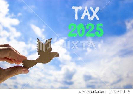Planning tax 2025 new year symbol. Concept words Tax 2025 on beautiful blue sky. Beautiful blue sky clouds background. Hand holds wooden bird. Business tax 2025 new year concept. Copy space. 119941309
