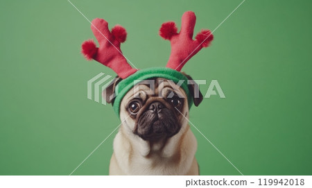 Festive Dog Wearing a Green Headband with Red Reindeer Antlers Decorated with Stitched Seams and Red Pompoms in a Christmas-Themed Scene Festive Dog Wearing a Green Headband with Red Reindeer Antlers Decorated with Stitched Seams and Red Pompoms in a Christmas-Themed Scene 119942018