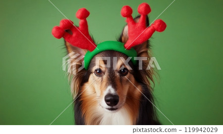 Festive Dog Wearing a Green Headband with Red Reindeer Antlers Decorated with Stitched Seams and Red Pompoms in a Christmas-Themed Scene 119942029