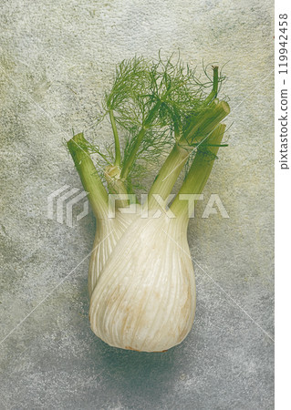 fennel, bulb, dill root, fresh, top view, 119942458