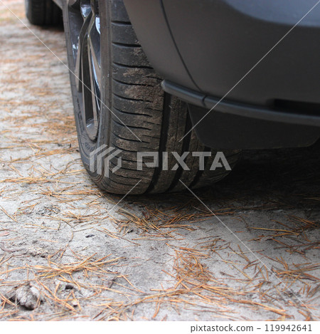 Car Wheel On Sandy Road Covered With Dry Pine Needles Detailed View. Outdoor Car Travel Stock Image   119942641