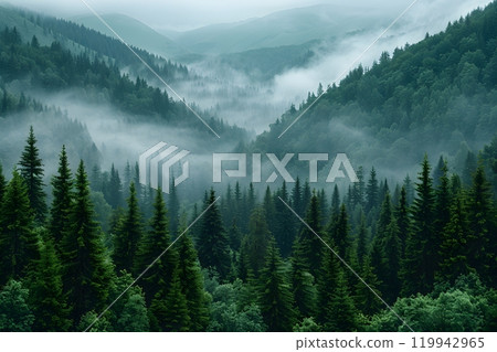 Misty Mountain Valley with Lush Evergreen Forests for Nature and Landscape Photography Generative AI 119942965