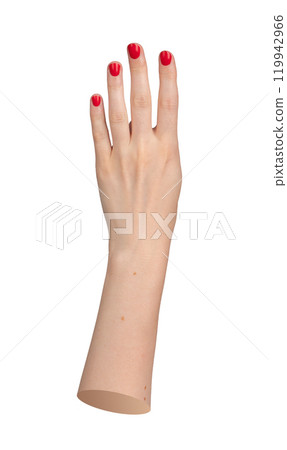 Female hand showing four fingers, with red polished nails. Elegant counting gesture, isolated on 119942966