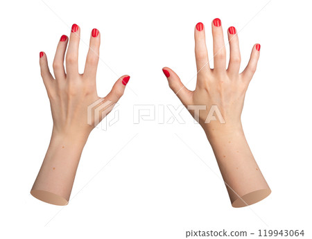 Open female hands with red polished nails, fingers spread in a relaxed, symmetrical gesture isolated 119943064