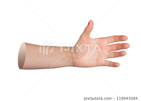 Holding hand gesture, palm, fingers reaching out to grab or hold something, grip. Isolated on white 119943084
