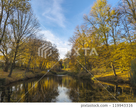 Sunny autumn landscape of the park on a sunny day 119943316