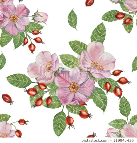 Flowers of Rosa Canina, wild rose buds, rosehip, and green leaves. Watercolor clipart, seamless pattern. Ideal for fabric design, wallpapers, or stationery, offering a nature-inspired artistic touch Flowers of Rosa Canina, wild rose buds, rosehip, and green leaves. Watercolor clipart, seamless pattern. Ideal for fabric design, wallpapers, or stationery, offering a nature-inspired artistic touch 119943436