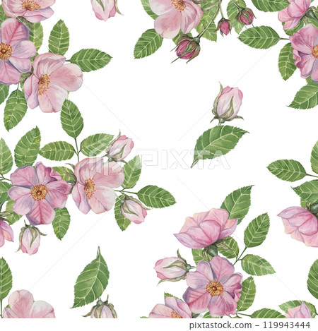 Pink Rosa Canina flowers in bloom, floral elements, along with green leaves. Seamless pattern. Hand painted watercolor clipart. Ideal for surface design, home decor, apparel prints, or DIY crafts Pink Rosa Canina flowers in bloom, floral elements, along with green leaves. Seamless pattern. Hand painted watercolor clipart. Ideal for surface design, home decor, apparel prints, or DIY crafts 119943444