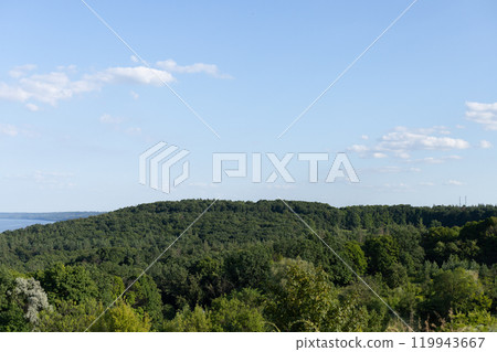 landscape, green trees on the background of the blue sky 119943667