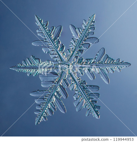 Natural snowflake crystal close-up macro photo 119944953