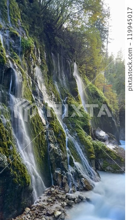 Moss-covered waterfall in a serene forest landscape in the Bavarian Alps,Germany 119945017