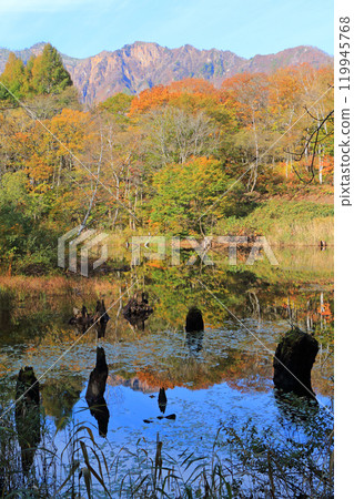 Autumn in Akiyamago: Lake Tenchi and Mount Torikabu 119945768