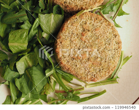 vegan burger with salad 119946540