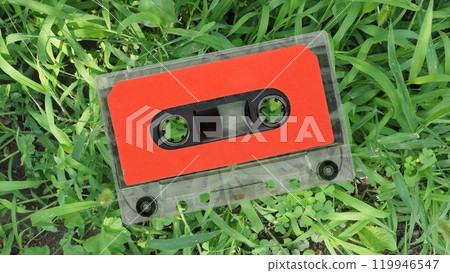 magnetic tape cassette over grass 119946547
