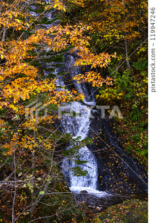Autumn [Hokkaido Hoheikyo Kudan Falls] 119947246