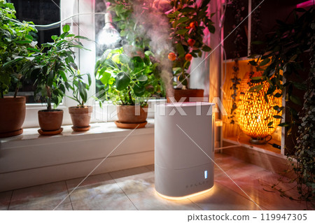 Air humidifier on the floor at home, steam illuminated by grow light, potted plants on windowsill 119947305
