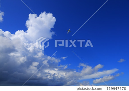 藍天白雲 119947378