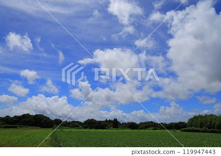 blue sky and white clouds 119947443