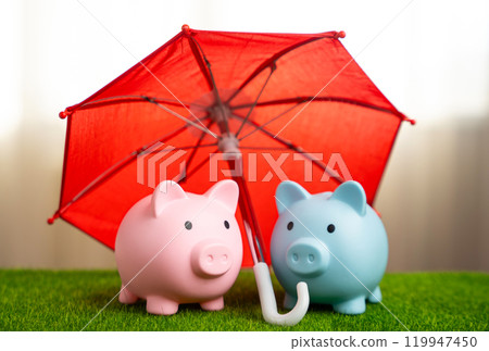 A loving couple of piggy banks under a red umbrella. Insurance and service. Investment and financial well-being protection. Family budget. Banking and finance. 119947450
