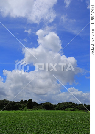 blue sky and white clouds blue sky and white clouds 119947451