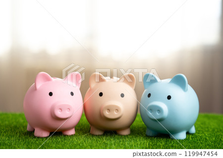 Three piggy banks stand together. Money and finance. Joint business, planning. Diversification of investments, multiple bank accounts. Savings. 119947454