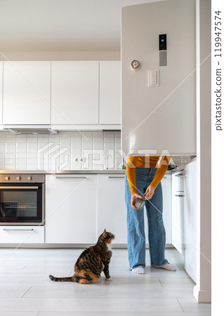 Hungry cat begging for food, waiting for its owner to get tuna in a can out of the refrigerator. Hungry cat begging for food, waiting for its owner to get tuna in a can out of the refrigerator. 119947574