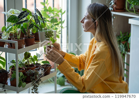 Plants in home pleases female florist. Interested woman gardener spend time caring green houseplants 119947670