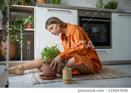 Focused woman plants lover taking care of houseplants. Measured hobby brings satisfaction, calmness 119947696