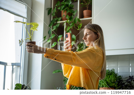 Blogger takes picture Philodendron houseplant for blog about plants gardening in home greenhouse Blogger takes picture Philodendron houseplant for blog about plants gardening in home greenhouse 119947716