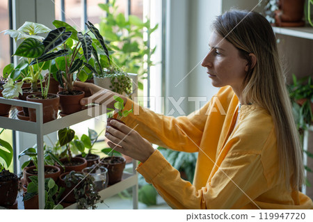 Woman holding small pot with green Pilea houseplant, thinking of light-loving plant place on shelf 119947720