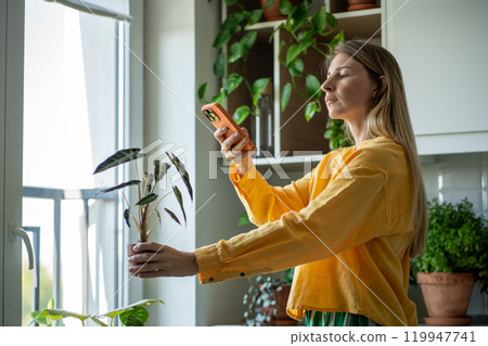 Interested female takes photos of green potted plant on smartphone posting in online houseplant shop 119947741
