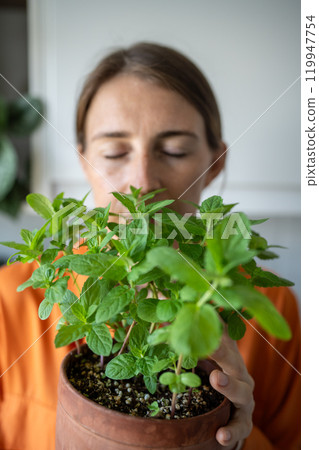 Woman with closed eyes enjoying smelling green mint plant growing it at home. Green hobby Woman with closed eyes enjoying smelling green mint plant growing it at home. Green hobby 119947754