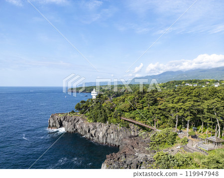 Jogasaki Coast (drone aerial photography) Ito City, Shizuoka Prefecture Jogasaki Coast (drone aerial photography) Ito City, Shizuoka Prefecture 119947948
