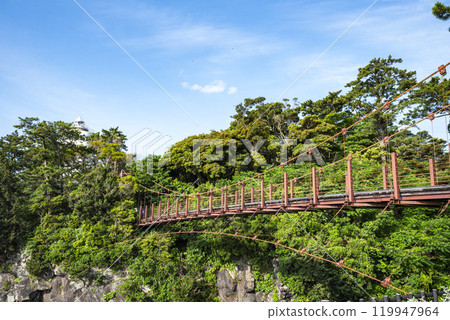Jogasaki Coast Kadowaki Suspension Bridge, Ito City, Shizuoka Prefecture 119947964