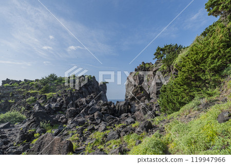 靜岡縣伊東市城崎海岸 靜岡縣伊東市城崎海岸 119947966