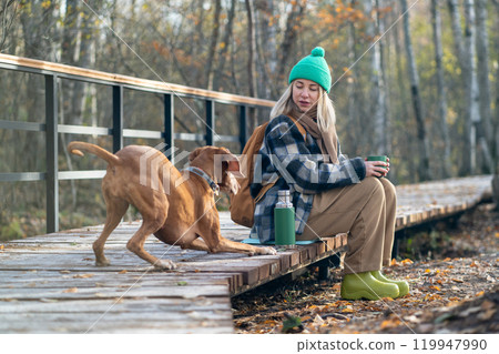Playful big hunting dog requiring attention of tired female owner by engaging in fun game. 119947990