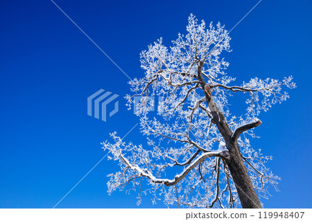 Rime and blue sky 119948407